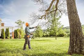 Best Storm Damage Tree Cleanup  in Cottonwood, ID